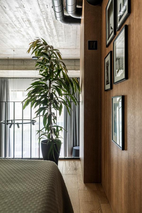 Stylish Loft With Terrace Paupys, Old Town Apartment Vilnius Exterior photo
